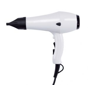 T704020 White ABS professional hair dryer
